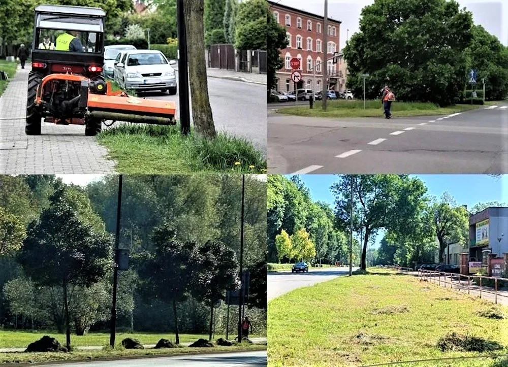 Pielęgnacja zieleni w mieście – poprawa estetyki i bezpieczeństwa