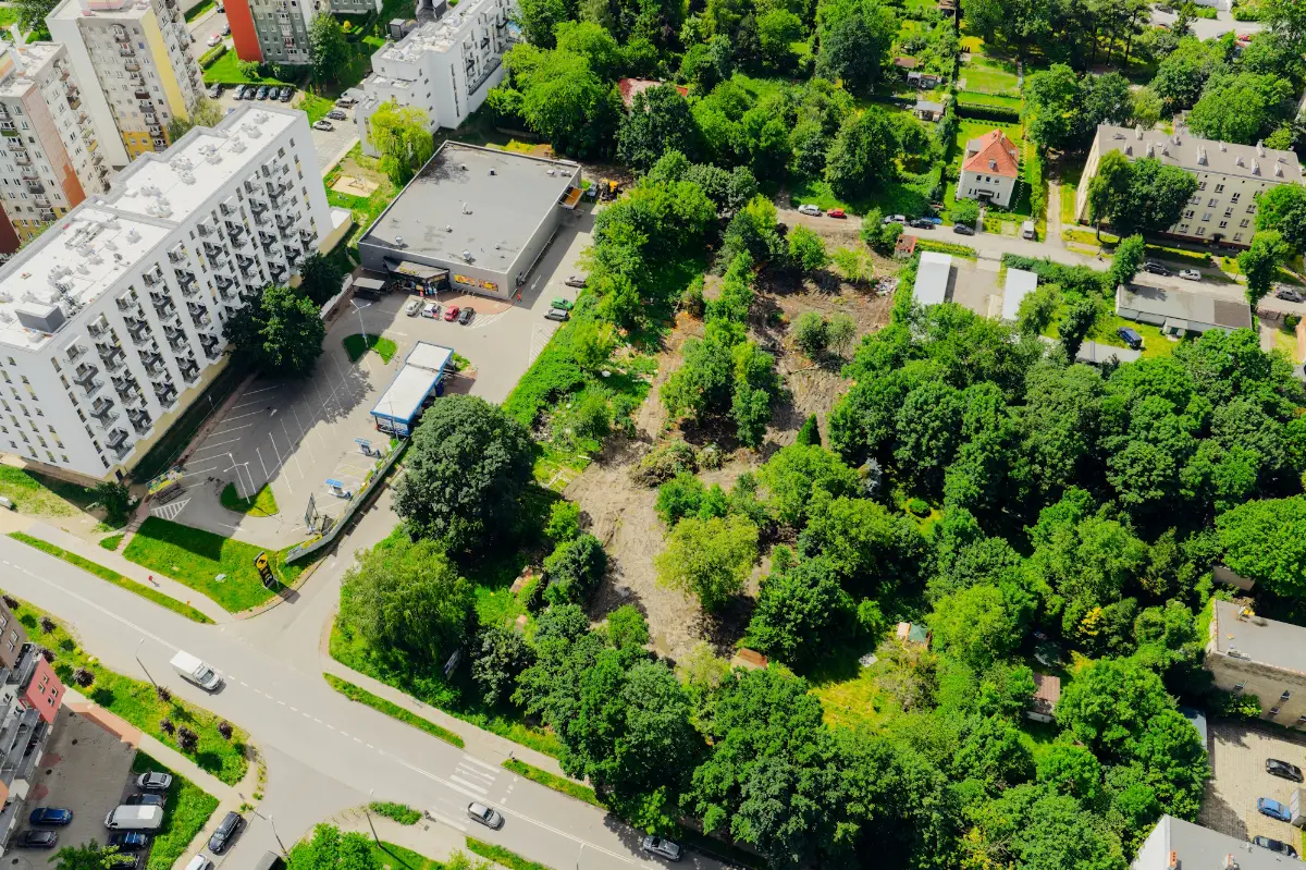 Park Południowy z nową zieloną aleją. W planie ponad 230 nowych drzew