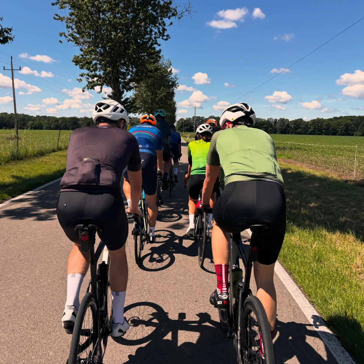 Rowerowa ustawka w Gliwicach z trasą w kształcie Reksia