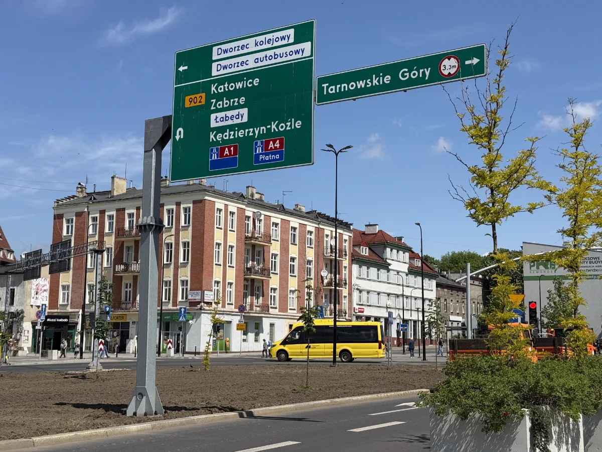 Nowe rośliny na Placu Piastów – 1000 zielonych sadzonek