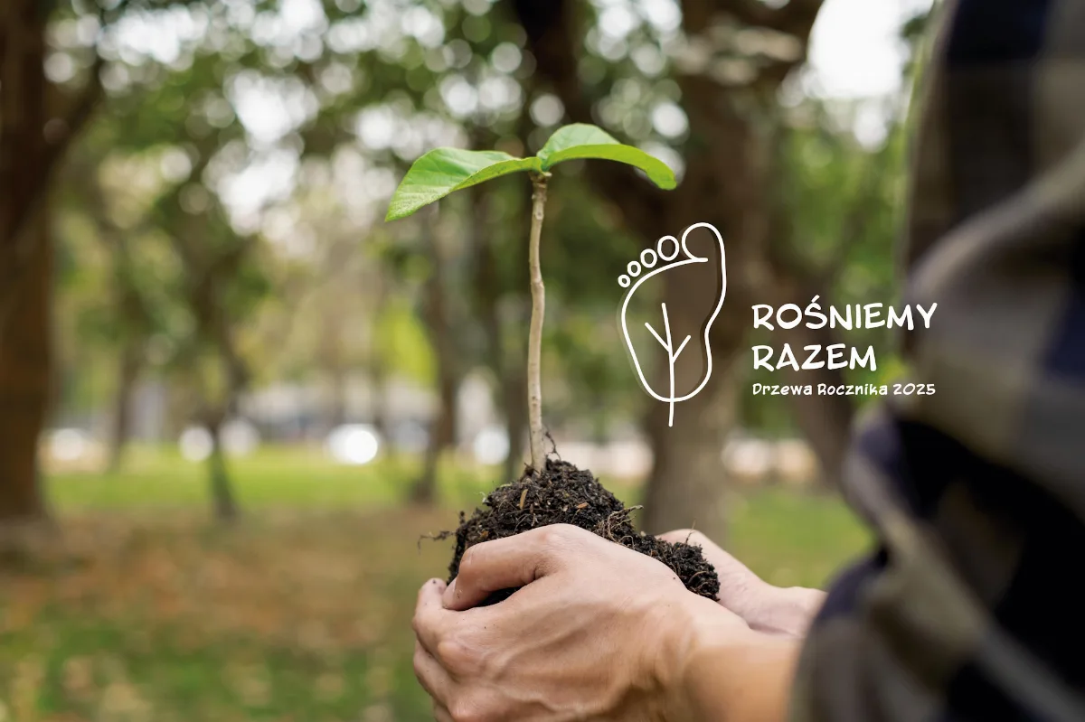 Akcja 'Rośniemy Razem' - Twoje dziecko może mieć drzewo w Gliwicach