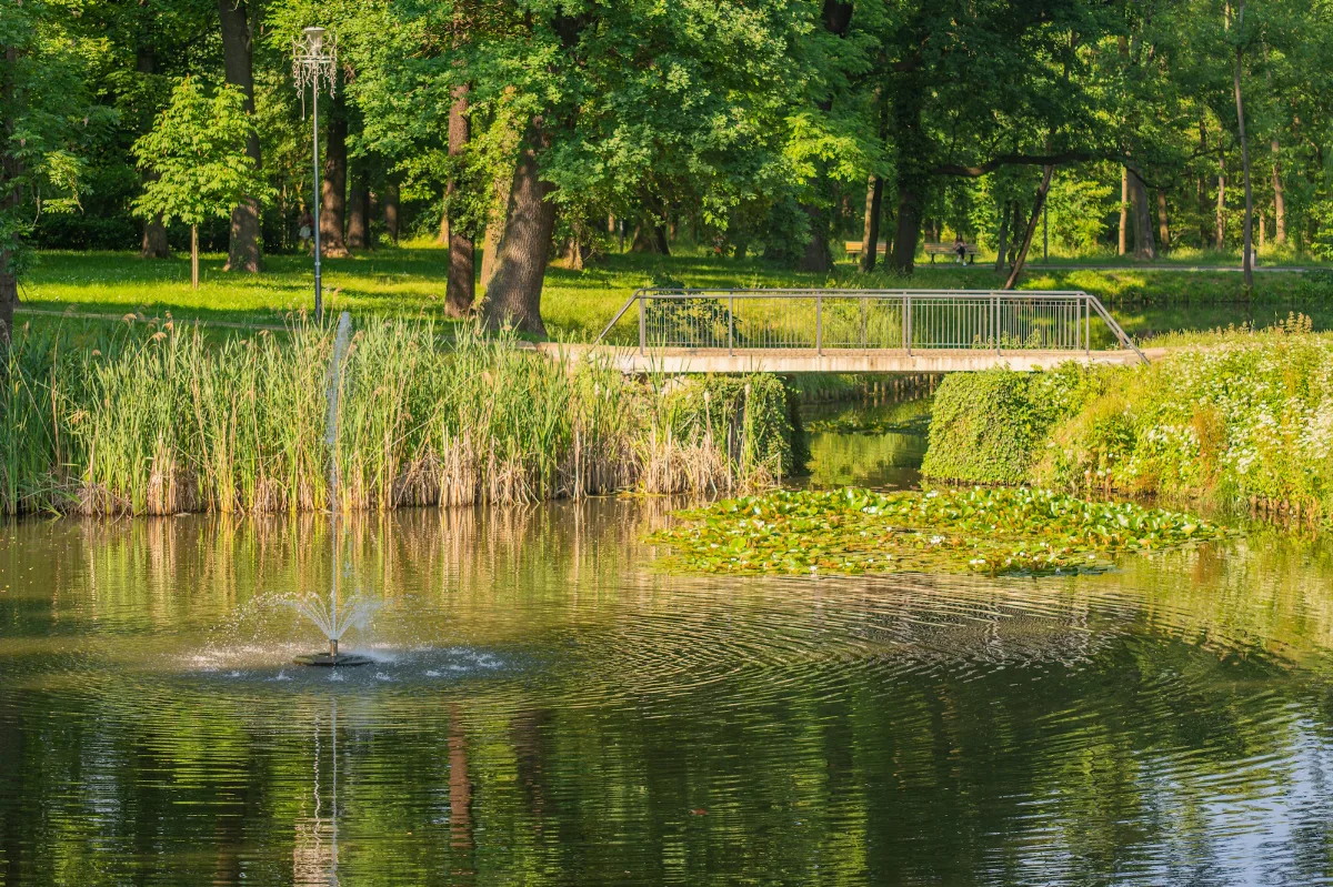 Park Szwajcaria otwarty dla mieszkańców, prace inwestycyjne wciąż trwają