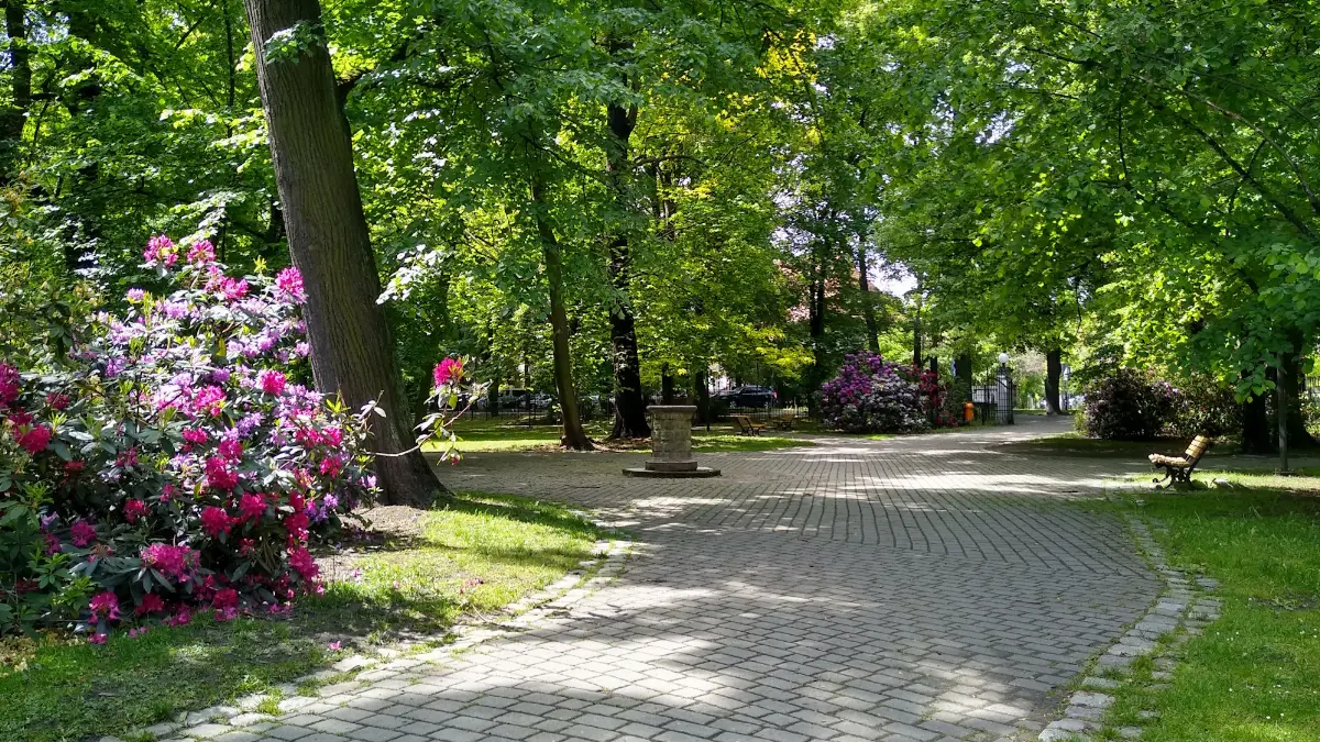 Zielona oaza Gliwic: miejsca na wypoczynek i ochłodę