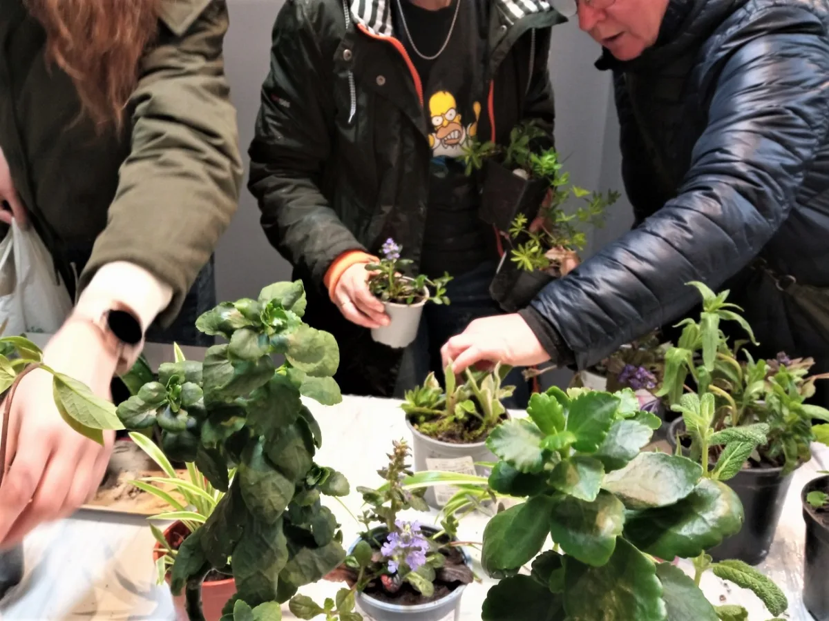 Wymień rośliny i poznaj aromaterapię podczas Roślinodzielni
