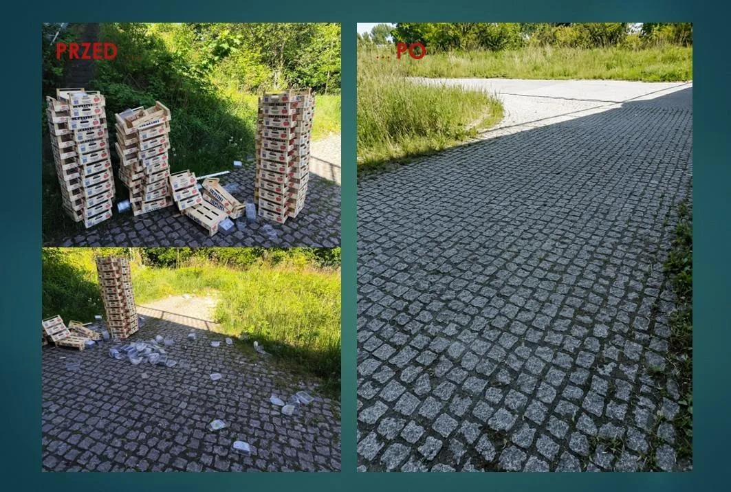 Nieodpowiedzialne zaśmiecanie Gliwic – poszukiwania sprawcy