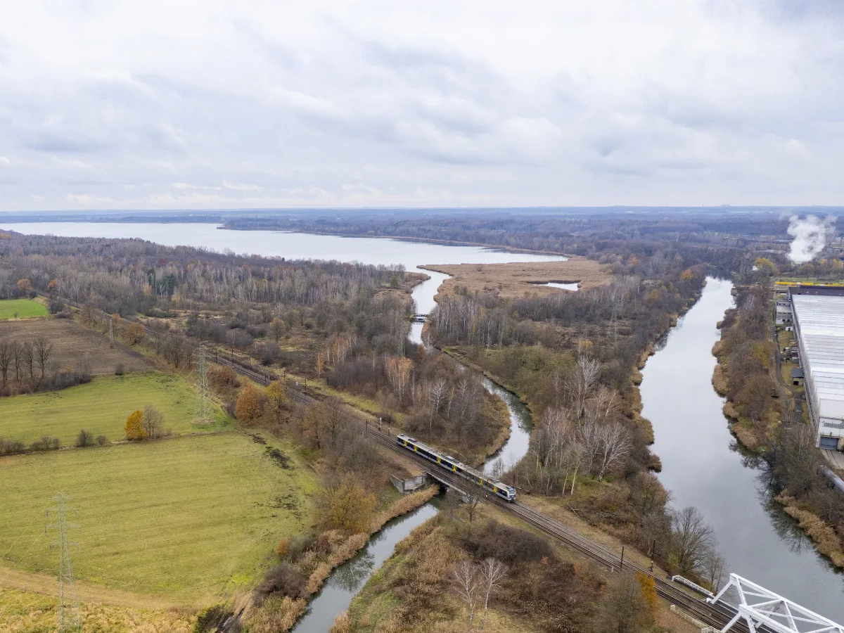 Gliwice wprowadzają ochronę cennych obszarów przyrodniczych - zapraszają na spacery z naukowcami