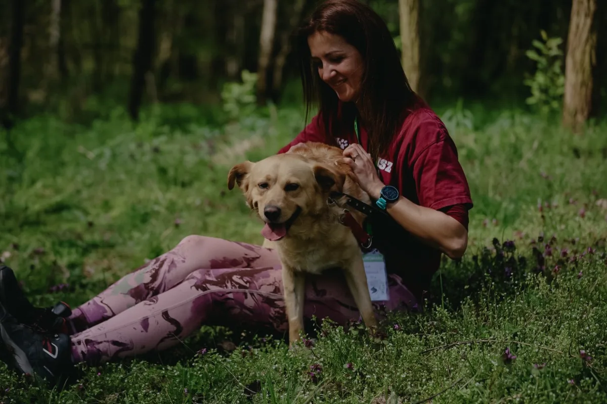 Milo poszukuje kochającego domu