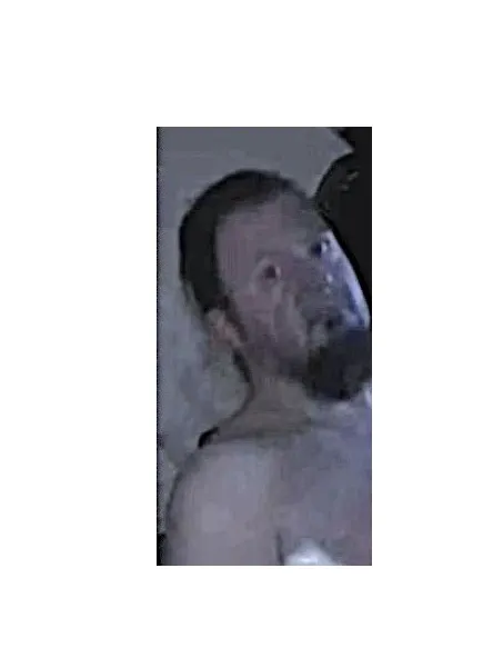 Policja publikuje wizerunki podejrzewanych o zniszczenie mienia w Sośnicowicach