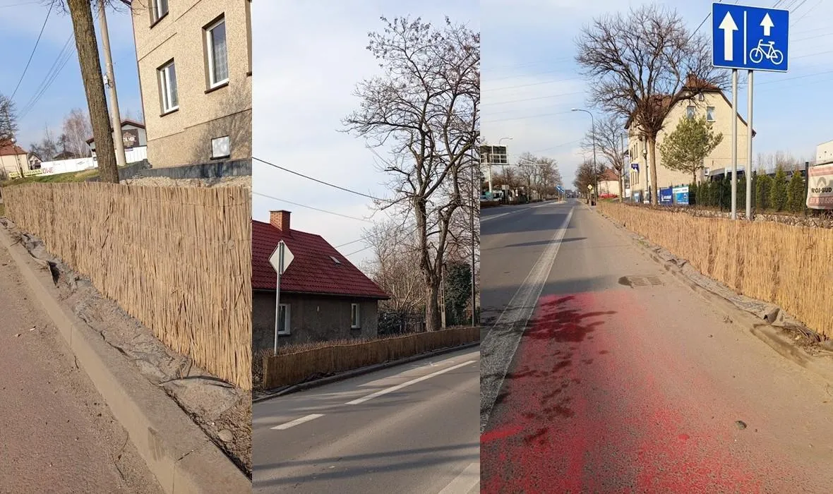 W Gliwicach rusza demontaż mat chroniących przydrożną zieleń po zimie