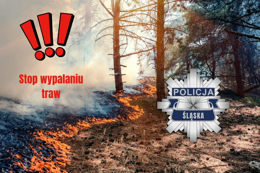 Wiosną rośnie ryzyko pożarów. Służby apelują: nie wypalaj traw