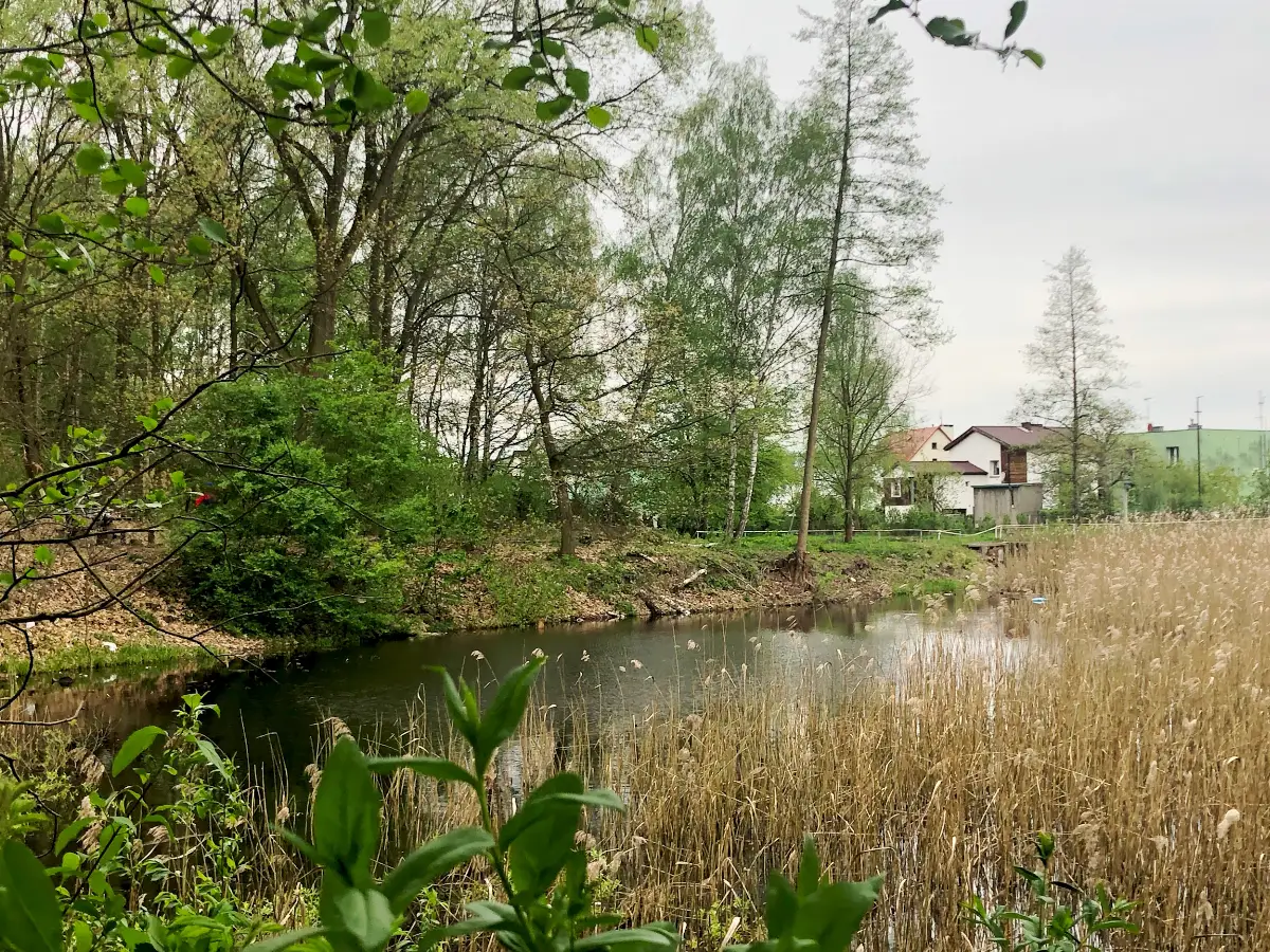 Zagospodarowanie stawu Szuwarek w Gliwicach-Łabędach – nowa przestrzeń rekreacyjna dla mieszkańców