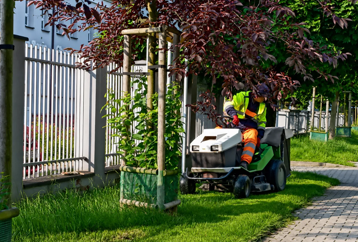 Koszenie trawników w Gliwicach – poprawa estetyki i bezpieczeństwa