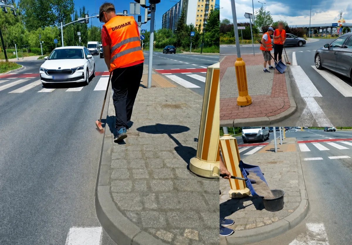 Walka z chwastami w pasach drogowych