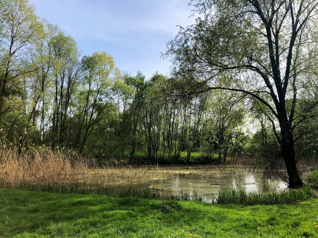 Zielony teren między ul. Góry Chełmskiej a ul. Nadrzeczną w Gliwicach przejdzie metamorfozę