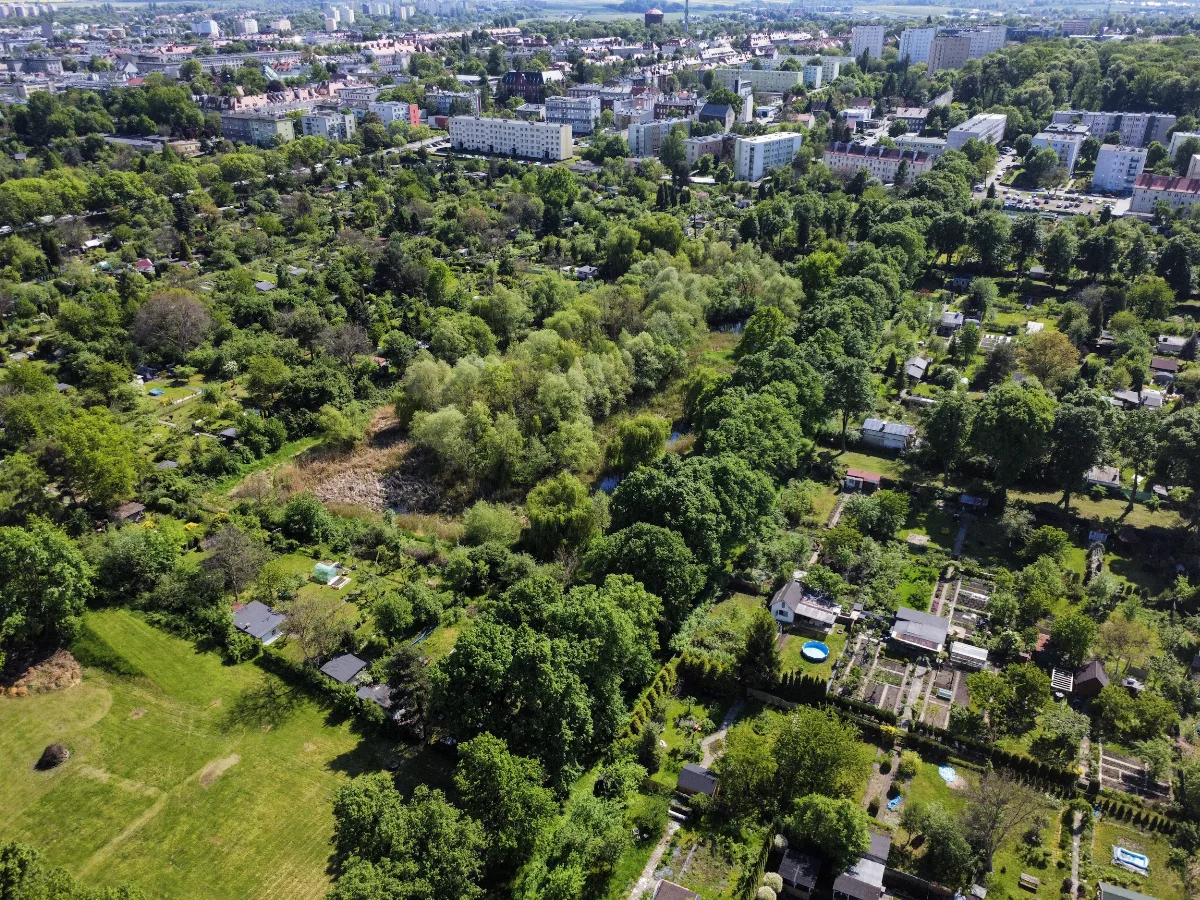 Konkurs na najpiękniejszy zielnik dla dzieci w Gliwicach